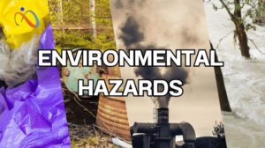 The Common Environmental Hazards that Affect Masses. How to Save People?